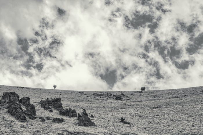 a black and white image of a landscape shot with a ultraviolet filter