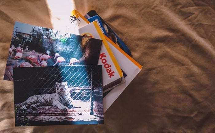 How to Easily Digitize Photos from Film to Digital