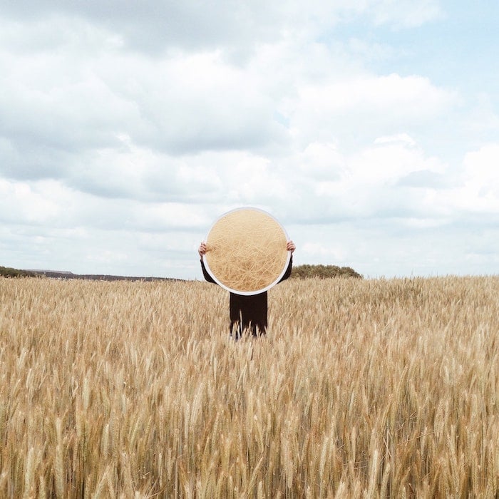 A person holding up a light reflector in a field of wheat for creative lighting ideas