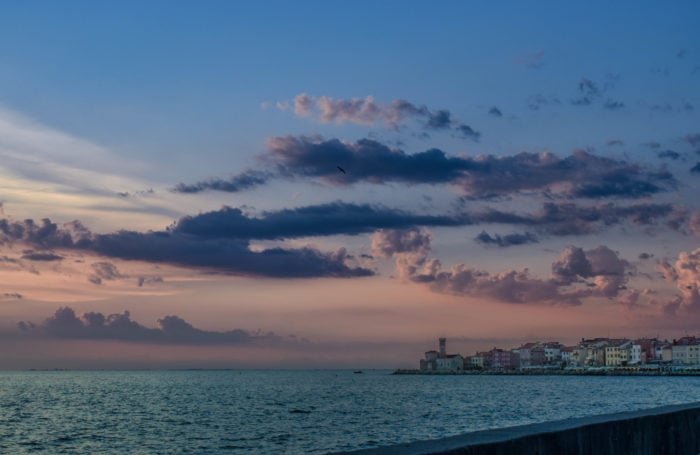 13 Tips for Stunning Natural Light Photography