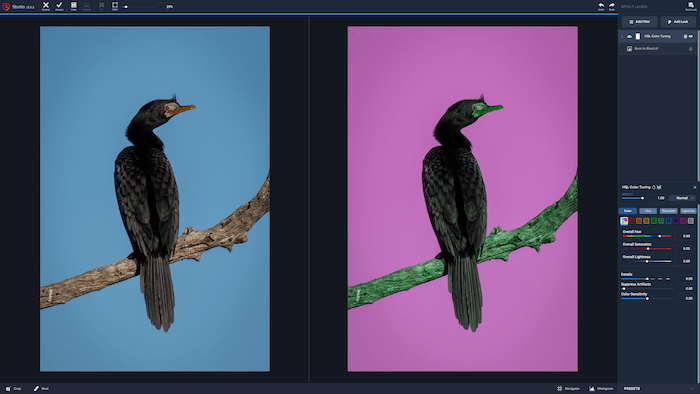 topaz studio review