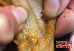 福建三明特产熏鸭三明熏鸭产品惊现蠕虫 食