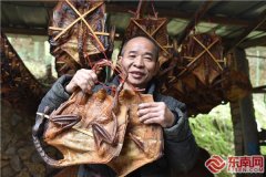 新春走基层 三明沙县：郑湖板鸭“走