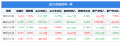 朗博科技（603655）12月20日主力资金净卖出2