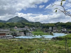 福建三明的茶福建农林大学金山学院“启新寻茶