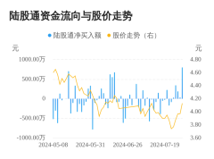 数码视讯连续5日获得北上资金净买入累计买入