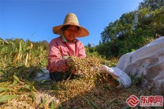 福建三明市特产介绍【组图】三明宁化：时在